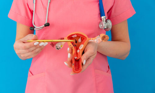 Focus chirurgie esthétique gynécologique : redonner confiance et confort intime