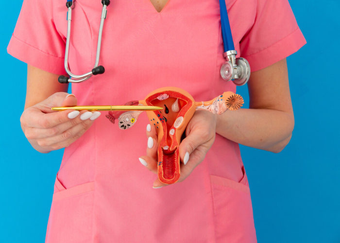 Focus chirurgie esthétique gynécologique : redonner confiance et confort intime