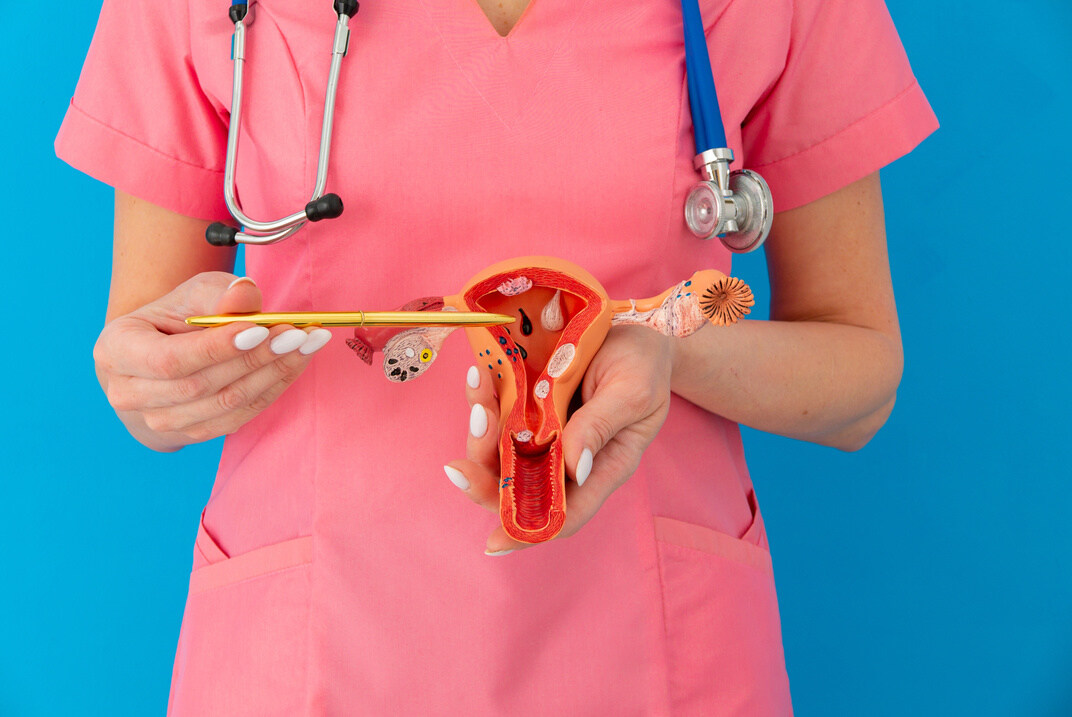 chirurgie esthétique gynécologique